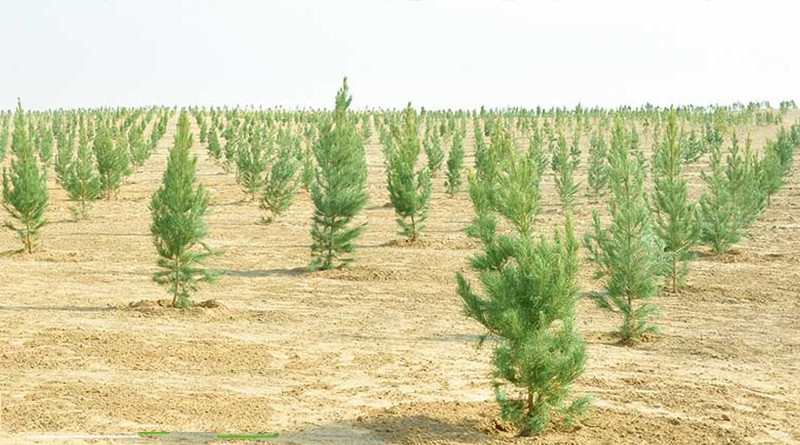 ÝURDUMYZDA ÄHLIHALK BAG EKMEK DABARASY GEÇIRILDI