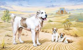 TÜRKMEN ALABAÝ ITLERI – MEDENI GYMMATLYGYMYZ