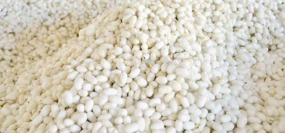 Lebap ýüpegi eksport bazaryndaky ornuny giňeldýär