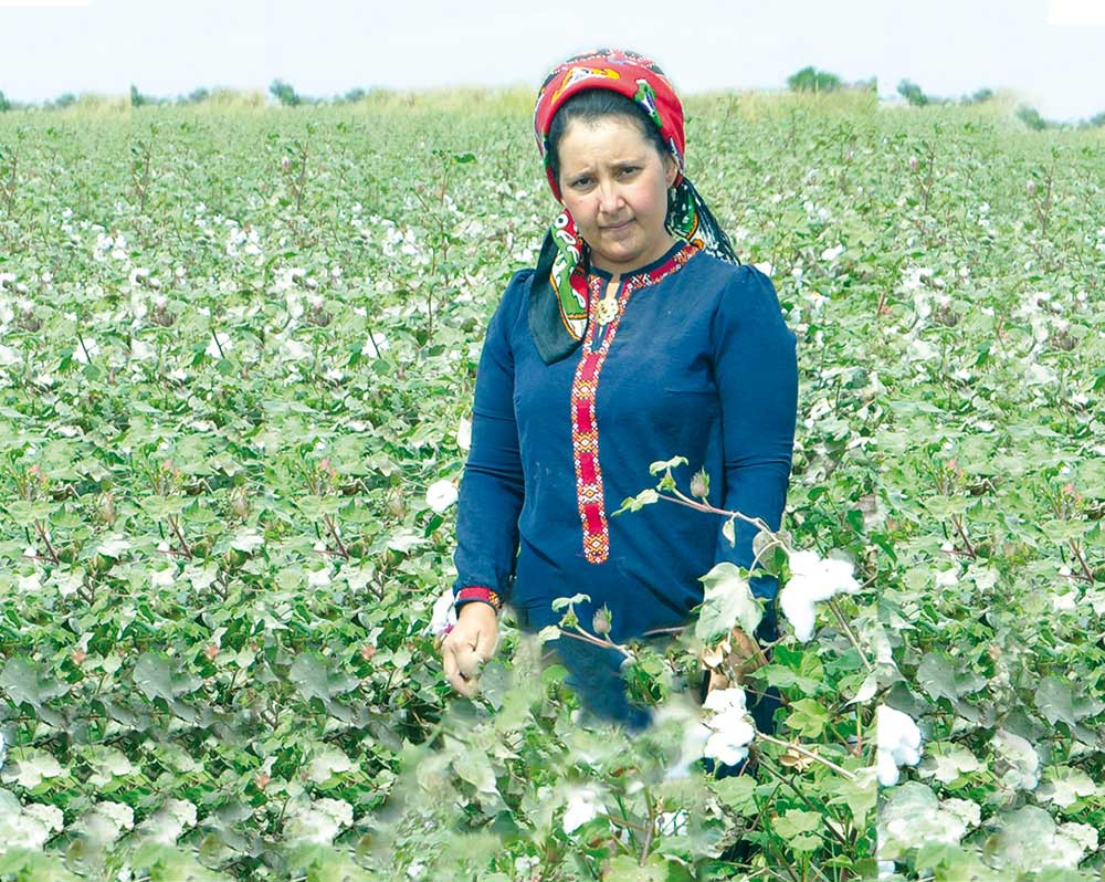 Ak hanalar — ak arzuwlar