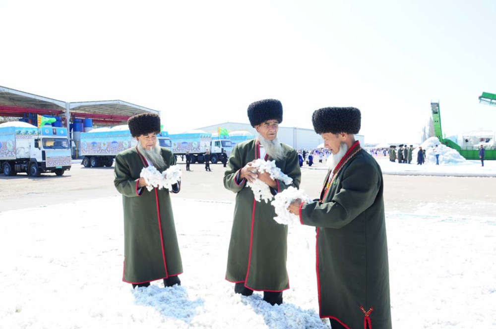 34 harmanhana pagta hasyly kabul ediler